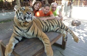 Тигриный зоопарк Tiger Kingdom на Пхукете фото №5
