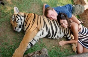 Тигриный зоопарк Tiger Kingdom на Пхукете фото №4