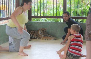 Тигриный зоопарк Tiger Kingdom на Пхукете фото №17