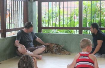 Тигриный зоопарк Tiger Kingdom на Пхукете фото №16