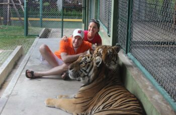 Тигриный зоопарк Tiger Kingdom на Пхукете фото №14