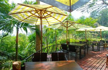 Экскурсия в верёвочный парк Мир Ханумана на Пхукете фото №8