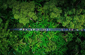 Экскурсия в верёвочный парк Мир Ханумана на Пхукете фото №12