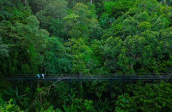 Экскурсия в верёвочный парк Мир Ханумана на Пхукете фото №18