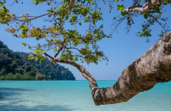 Экскурсия на остров Сурин из Као Лака фото №3