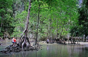 Экскурсия на остров Джеймса Бонда из Као Лака фото №6