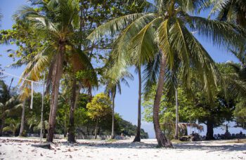 Экскурсии на остров Рача Ной из Као Лака фото №6