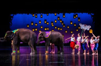 Фантазия шоу из Као Лака фото №7