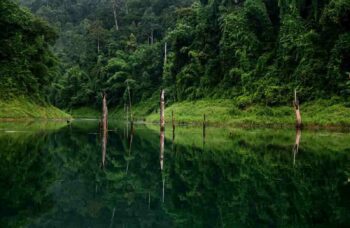 Экскурсия в Као Сок и на озеро Чео Лан<br src=