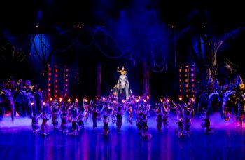 Фантазия шоу из Као Лака фото №8