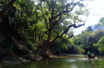 Экскурсия в Као Сок и на озеро Чео Лан<br src=