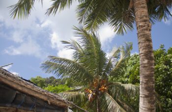 Экскурсия на остров Сурин из Као Лака фото №12