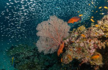 2 дня\1 ночь 9