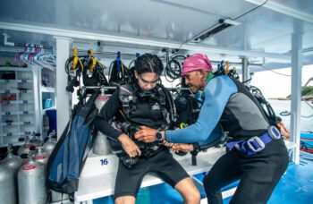 2 дня\1 ночь 4