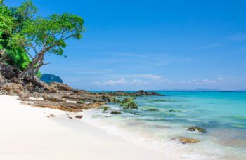 Экскурсия на острова Пхи Пхи из Као Лака фото №15